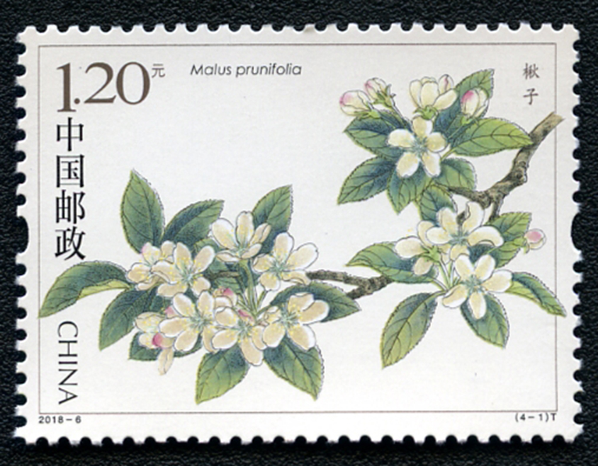 《海棠花》特种邮票