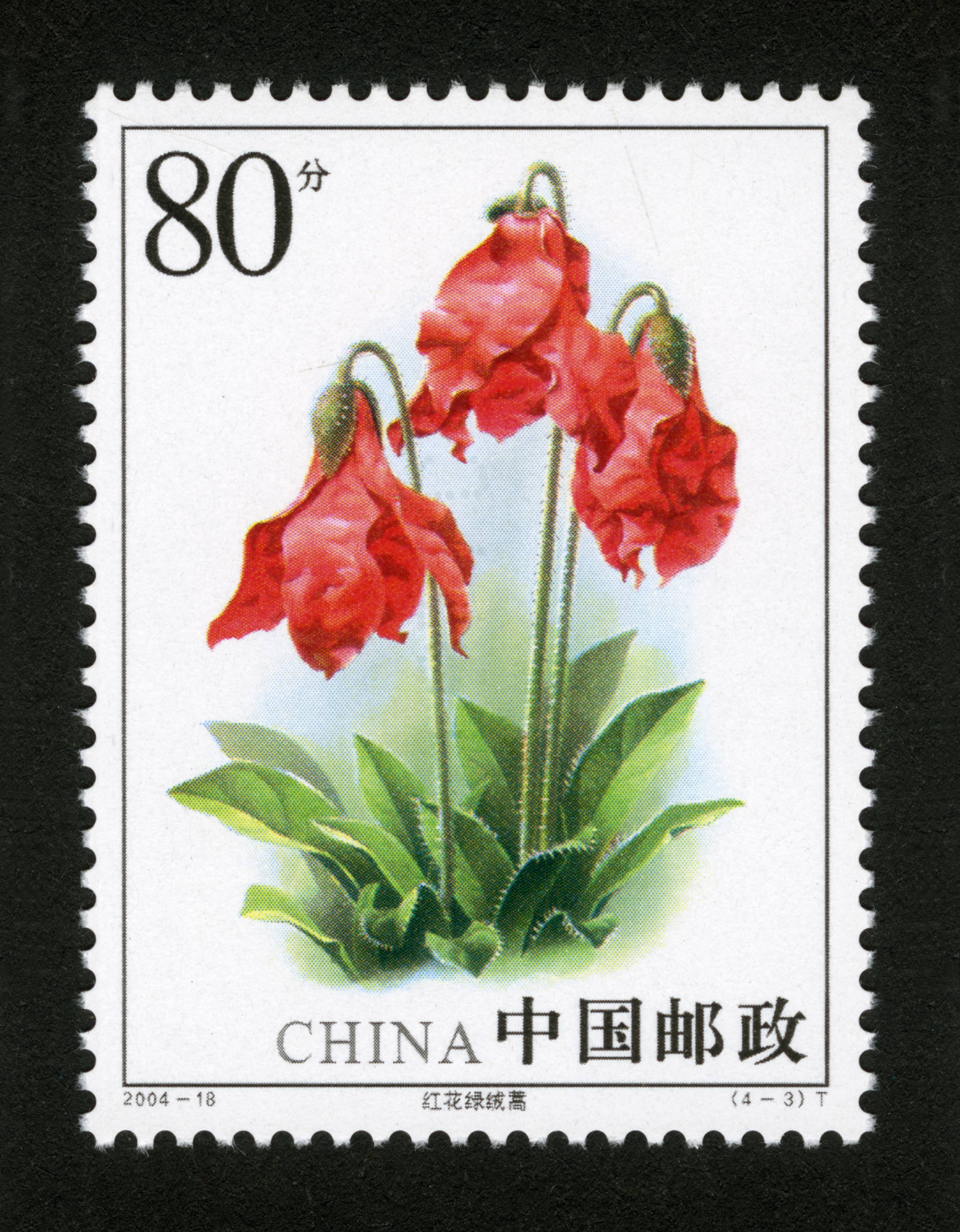 5x13 发行量:75万 版别:影写版 外形规格:不详 邮票规格:140x200 年代