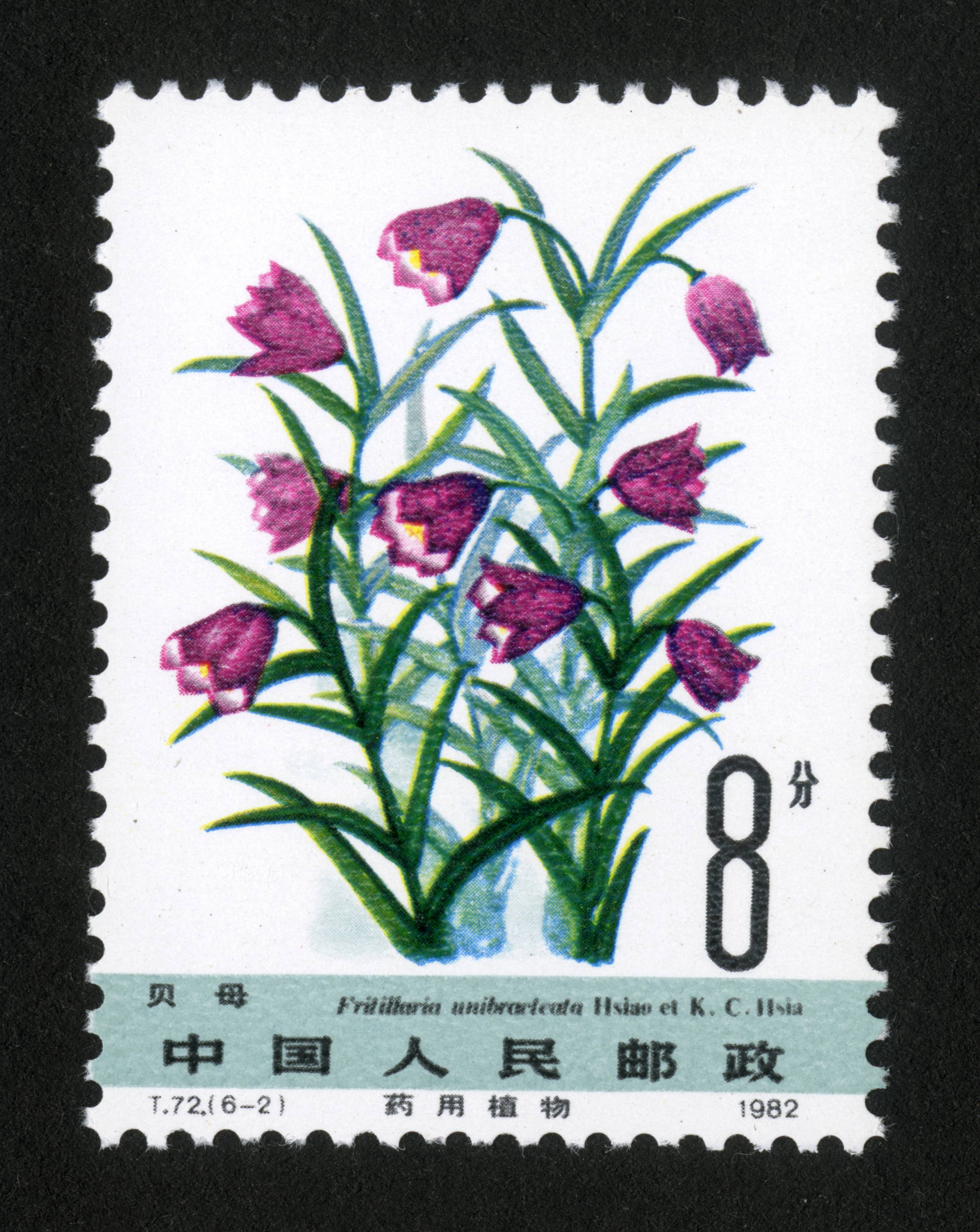 药用植物(第二组)|邮票目录|邮来邮网