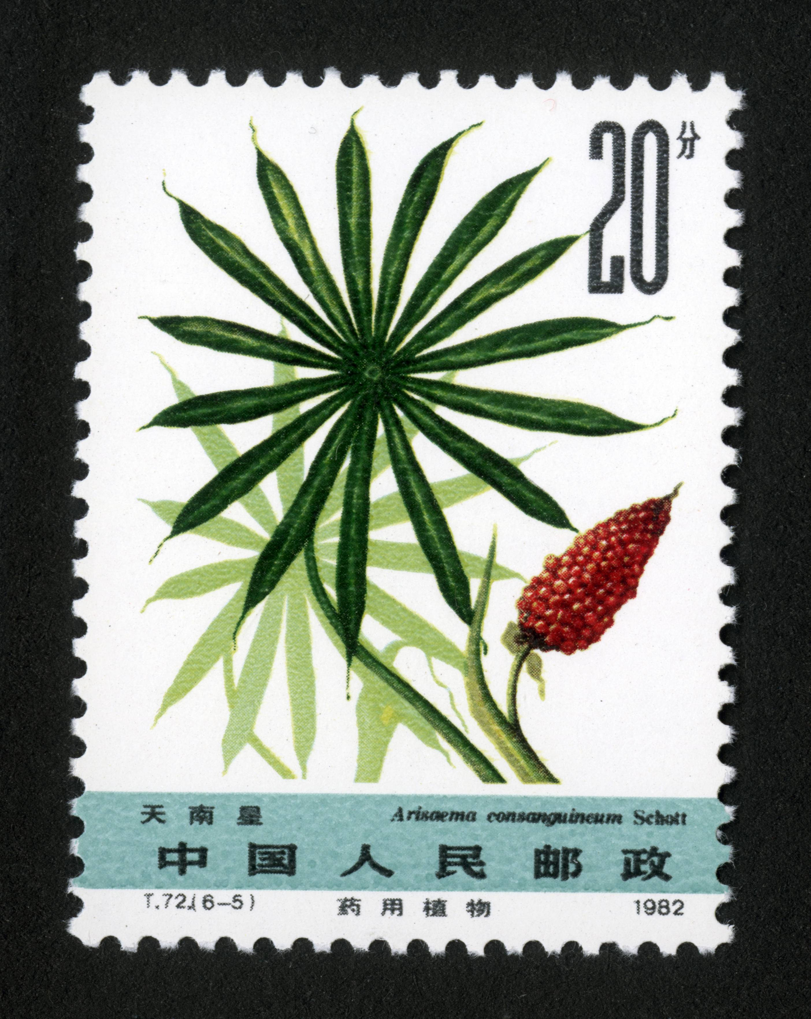 药用植物(第二组)|邮票目录|邮来邮网