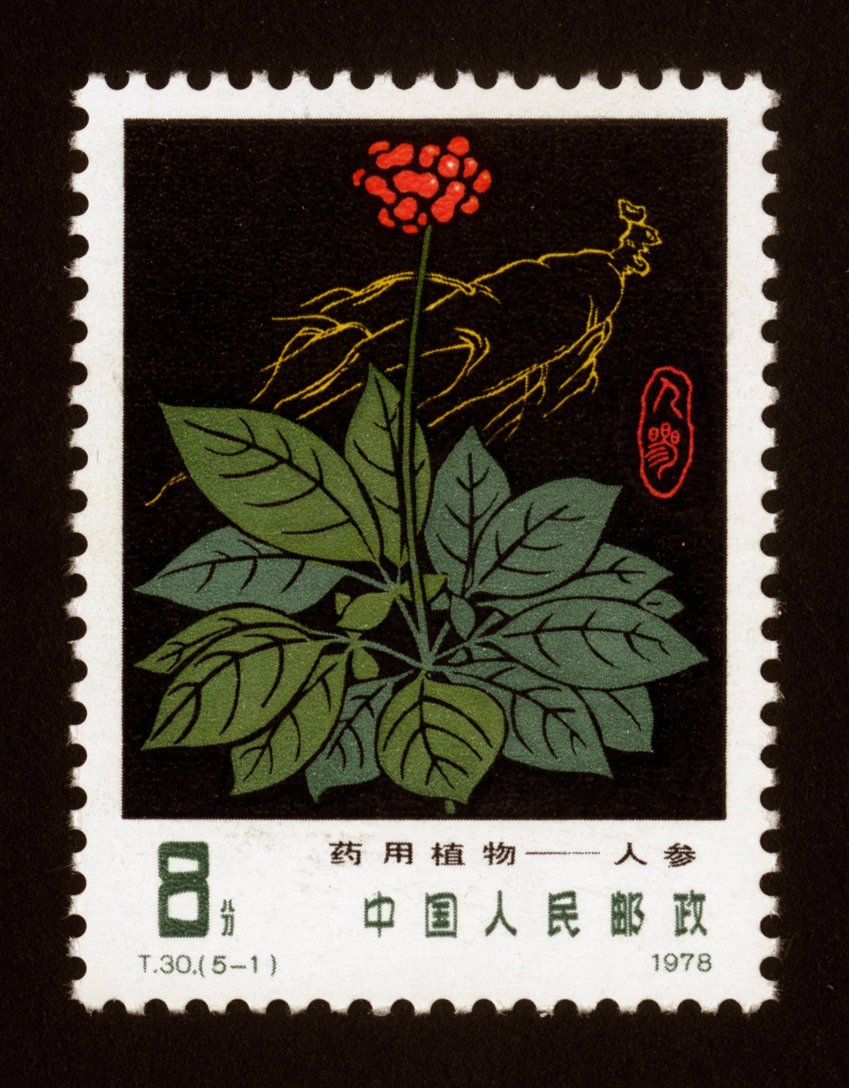藏书票植物图案图片