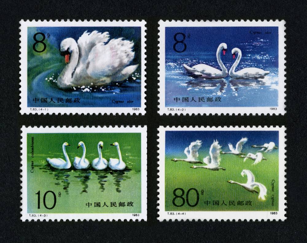 天鹅|邮票目录|邮来邮网