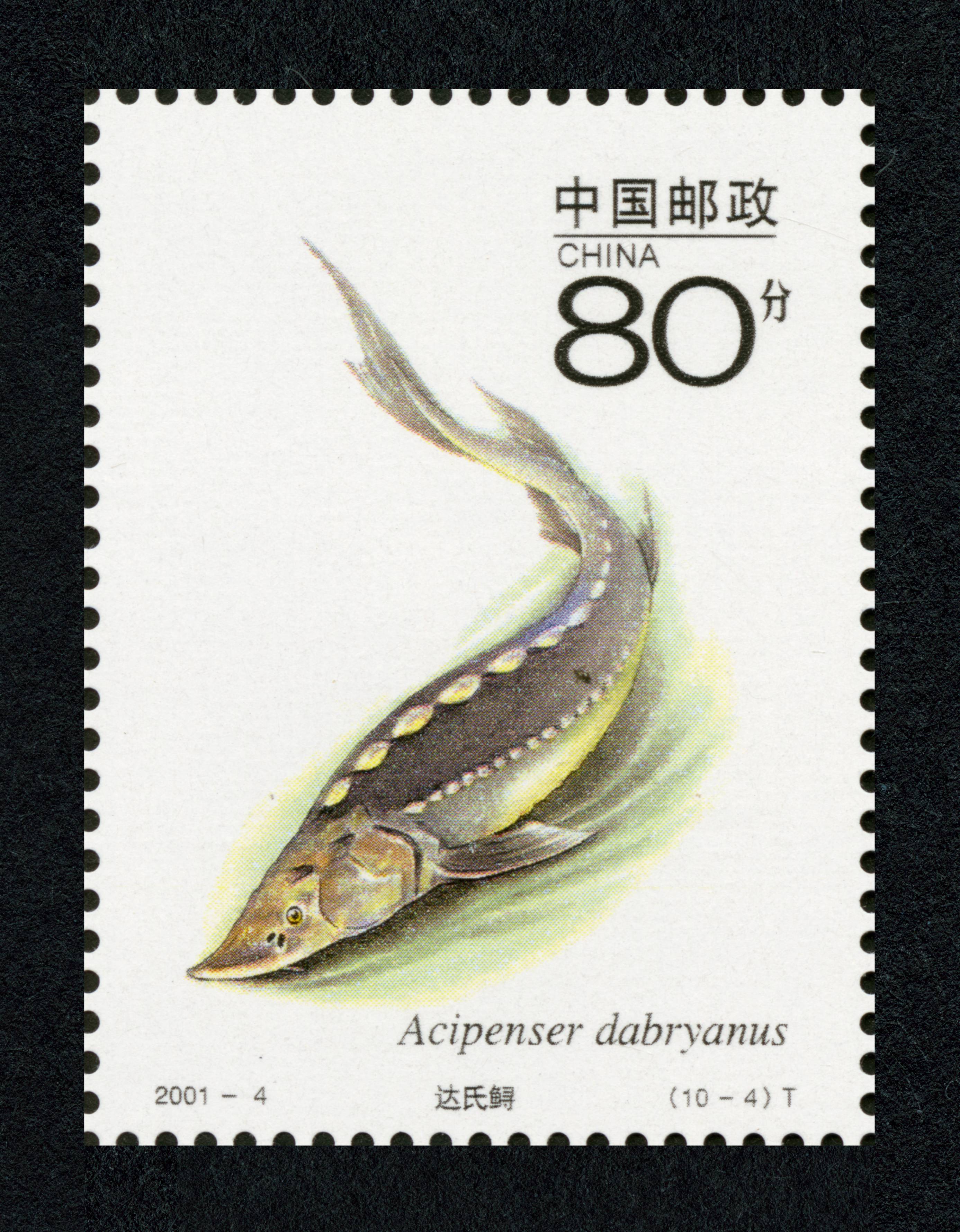 国家重点保护野生动物(Ⅰ级)(二)(t)|邮票目录|邮来邮网