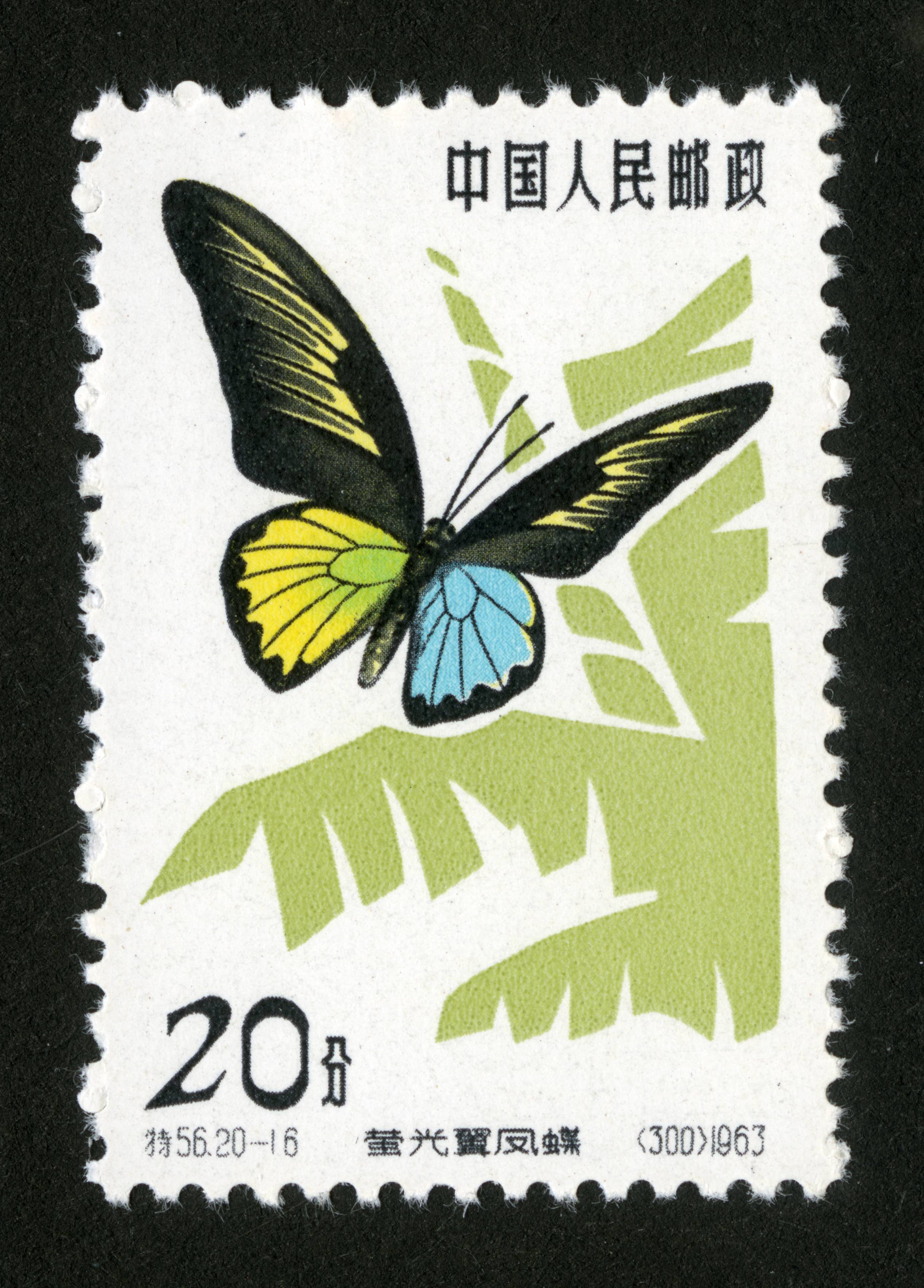 蝴蝶|邮票目录|邮来邮网