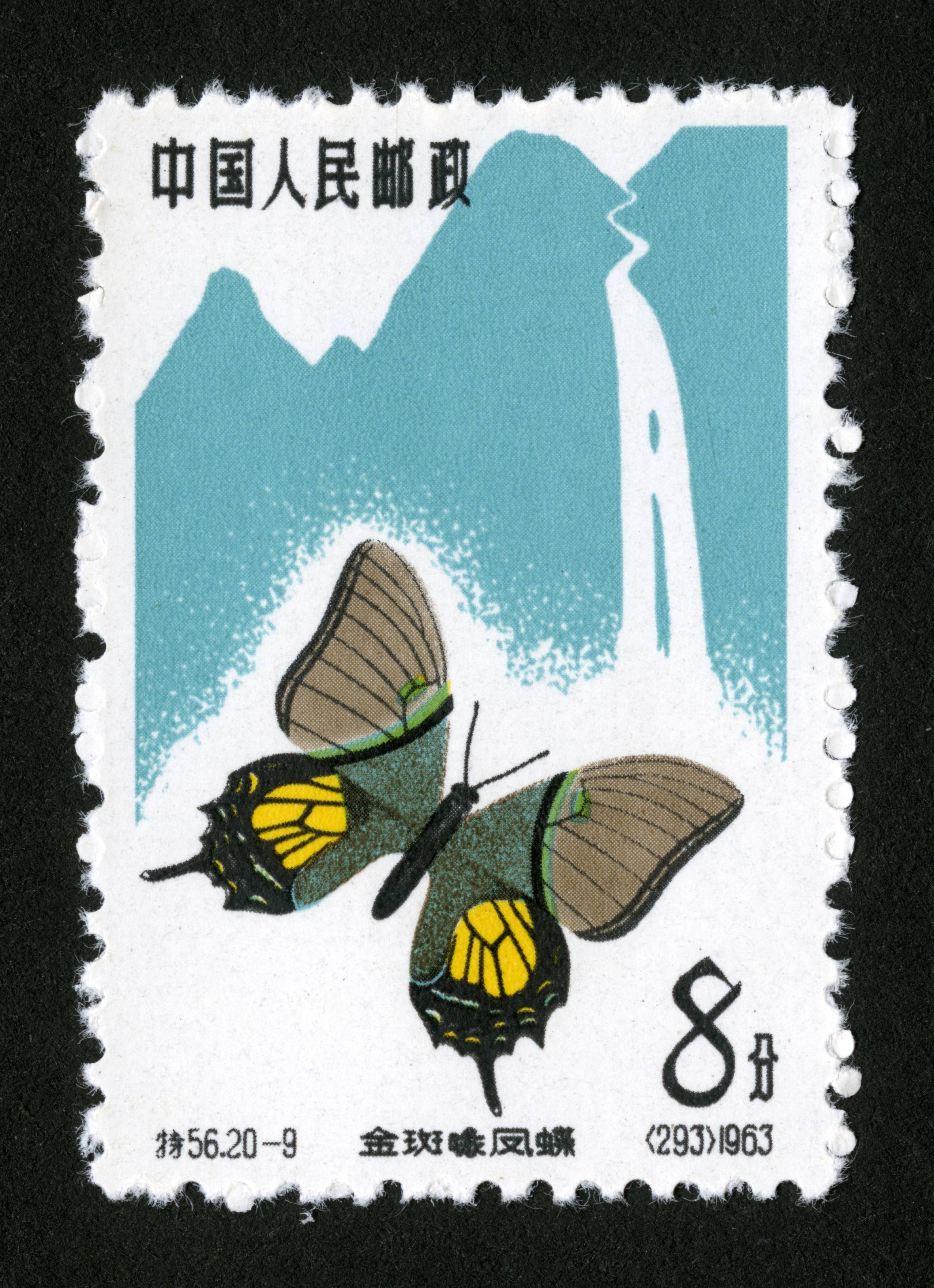 "特"字头邮票   |动植物 邮票名称:蝴蝶 发行日期:1963-04-05 图序