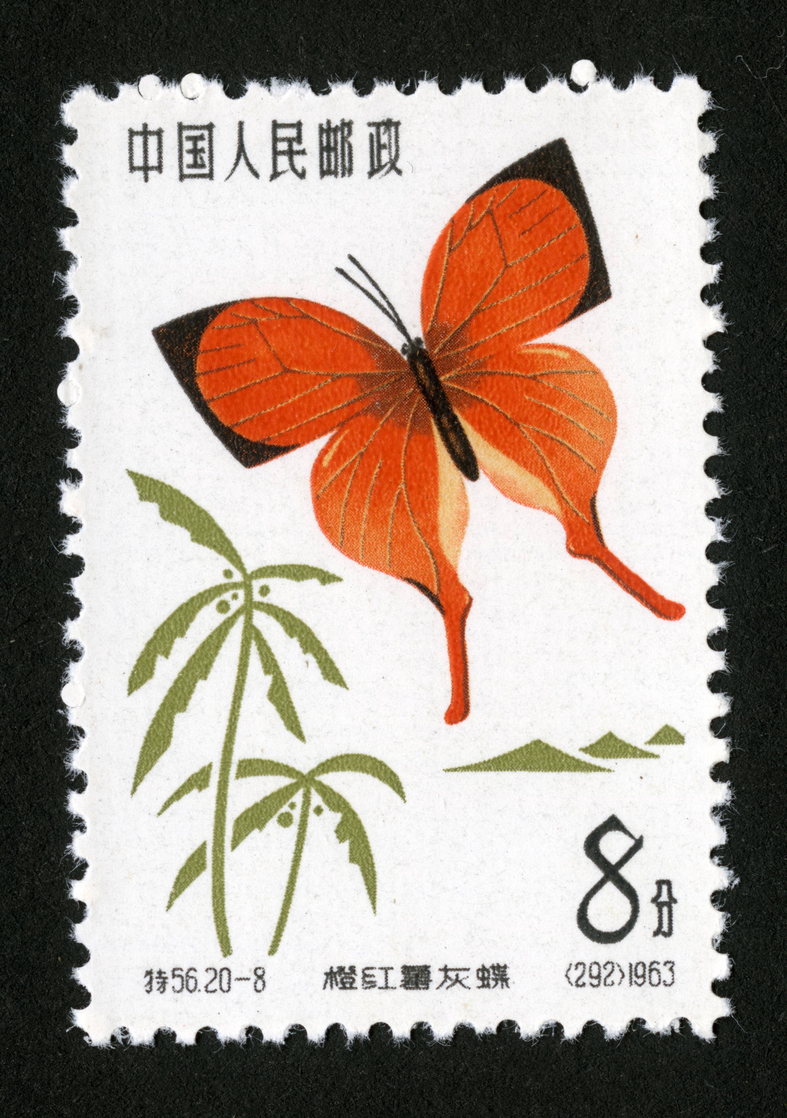 蝴蝶|邮票目录|邮来邮网