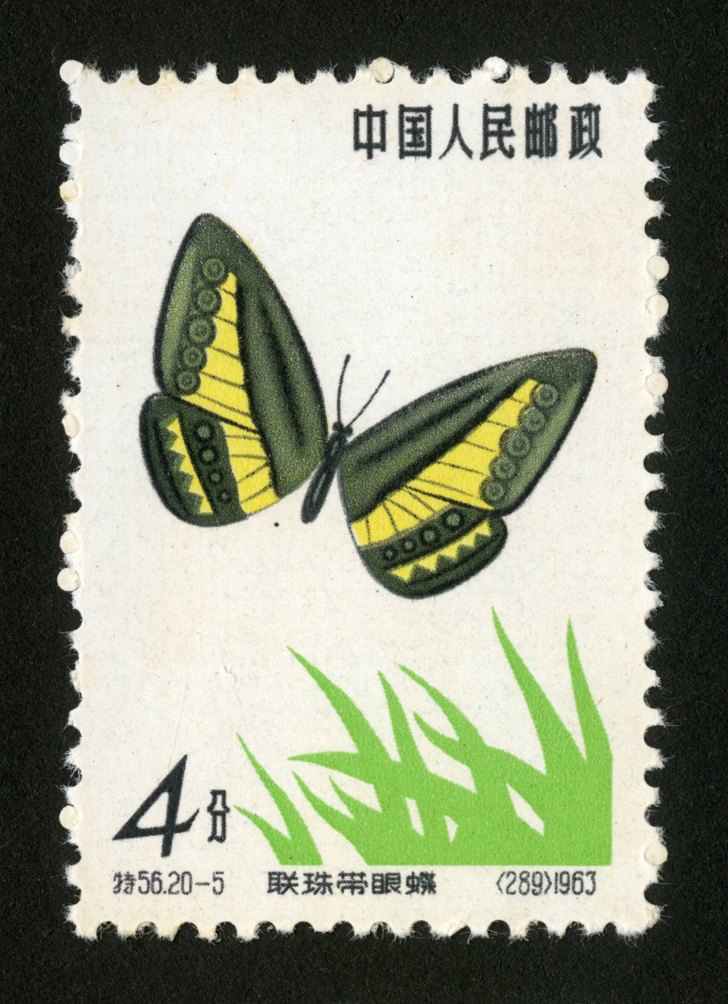 "特"字头邮票   |动植物 邮票名称:蝴蝶 发行日期:1963-04-05 图序