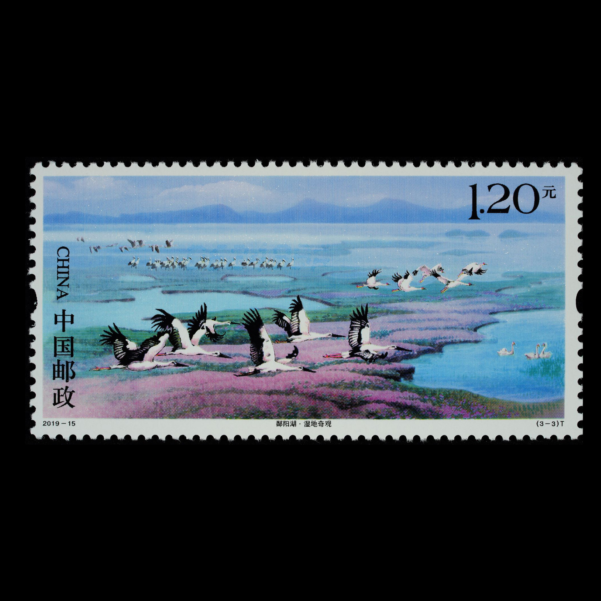 鄱阳湖(t)|邮票目录|邮来邮网